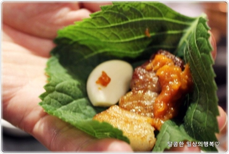 고기의 진수 이미지