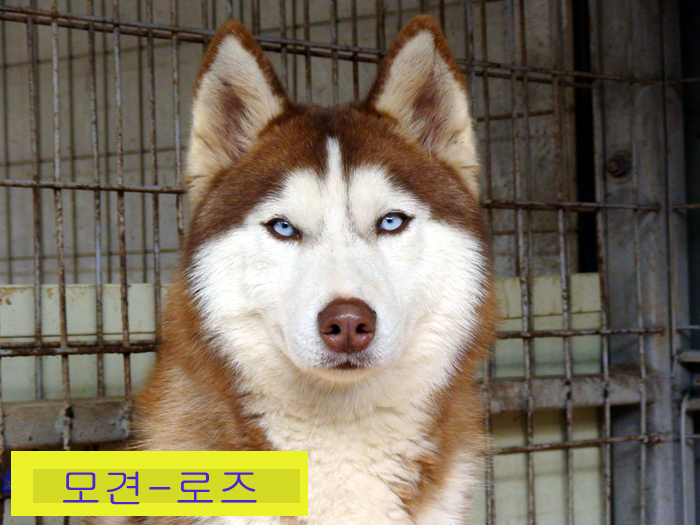 성주종합사료 이미지