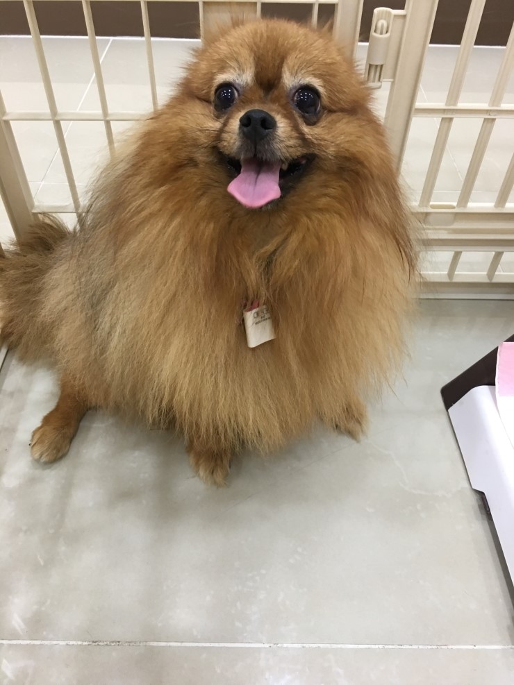 호이발관 이미지