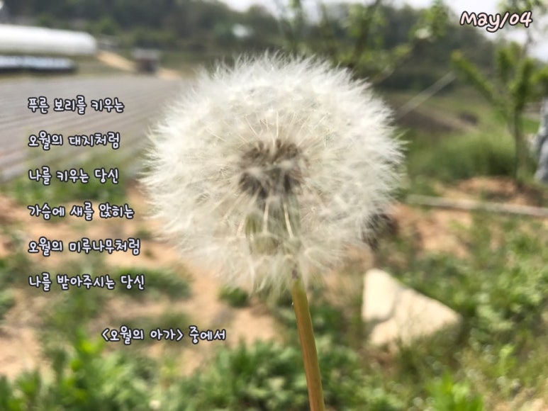 새희망크린 이미지
