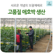 보광식품 이미지