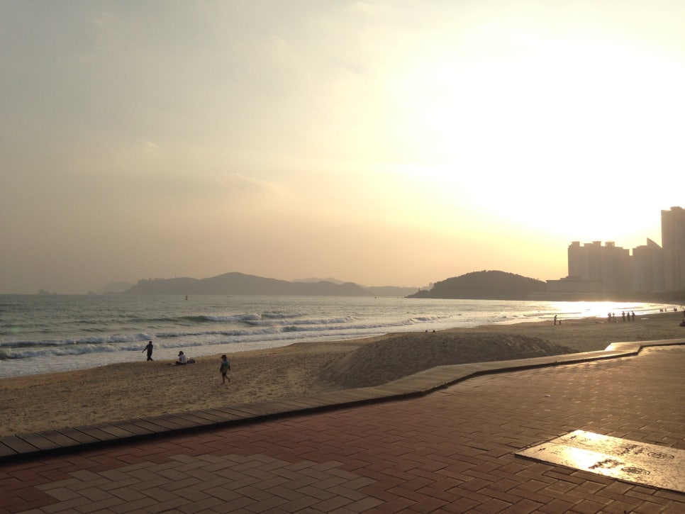 부산오토모빌 이미지