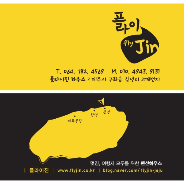 플라이진 이미지