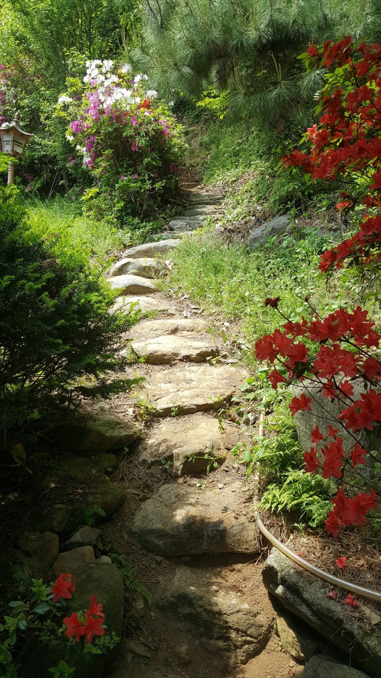 팔당산삼수목원 이미지