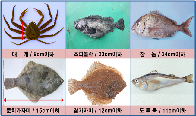 대대수산 이미지