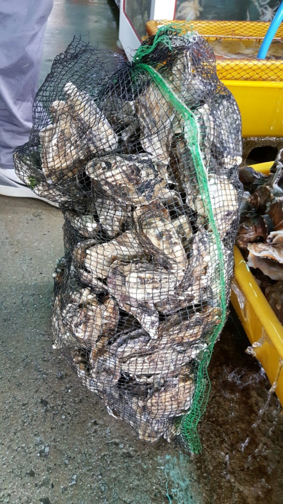 모항크리스탈펜션 이미지