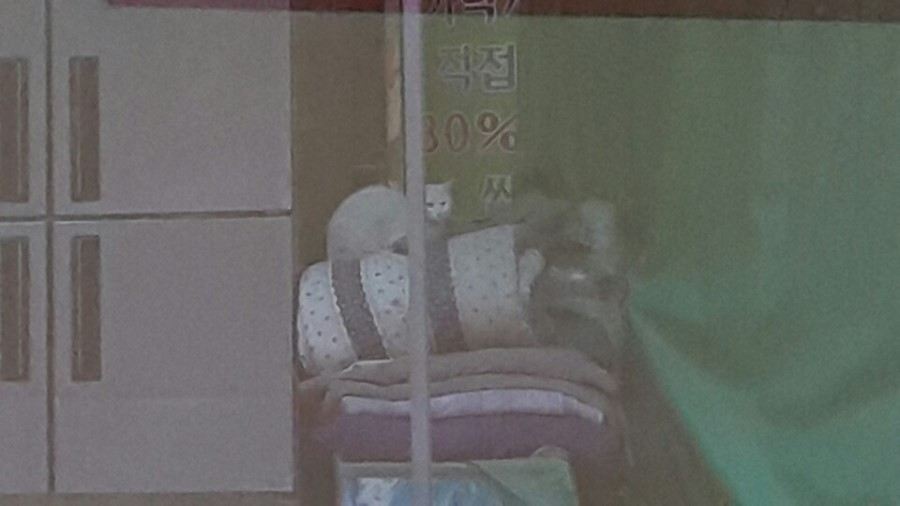 마이빈 이미지