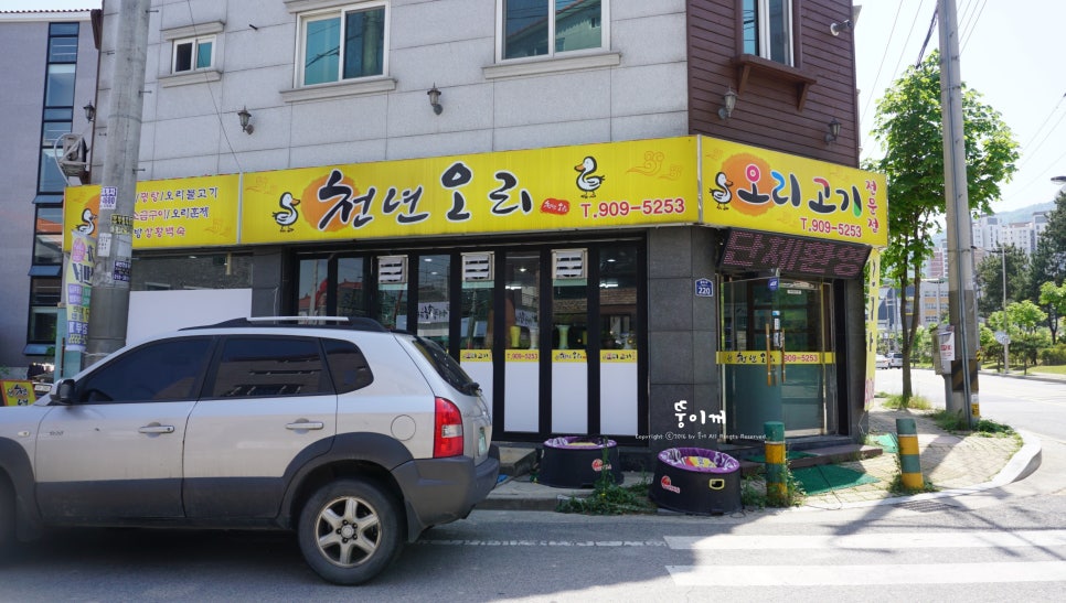 천년오리 이미지