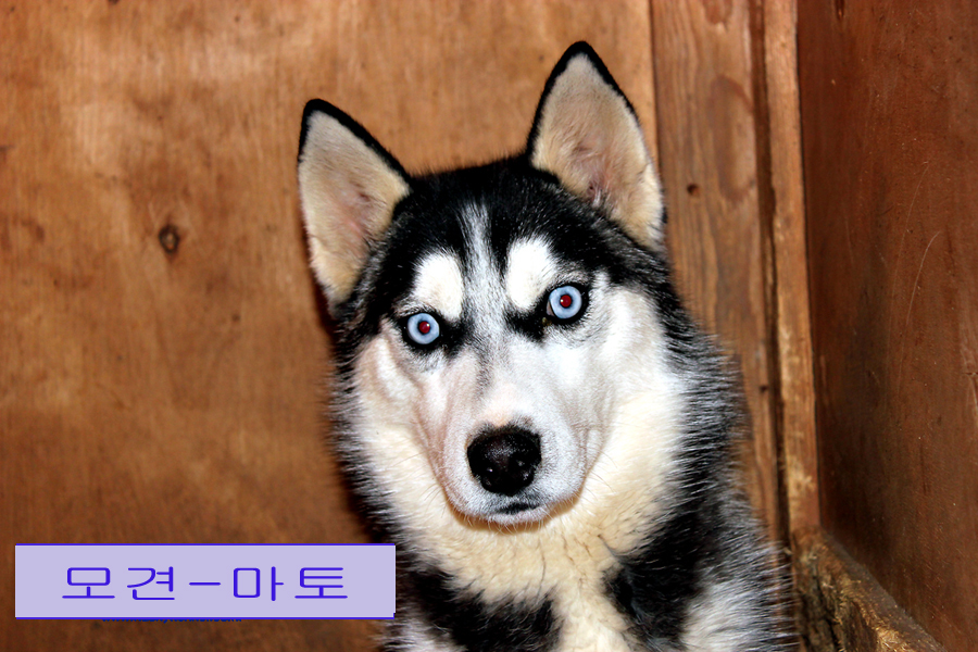성주종합사료 이미지