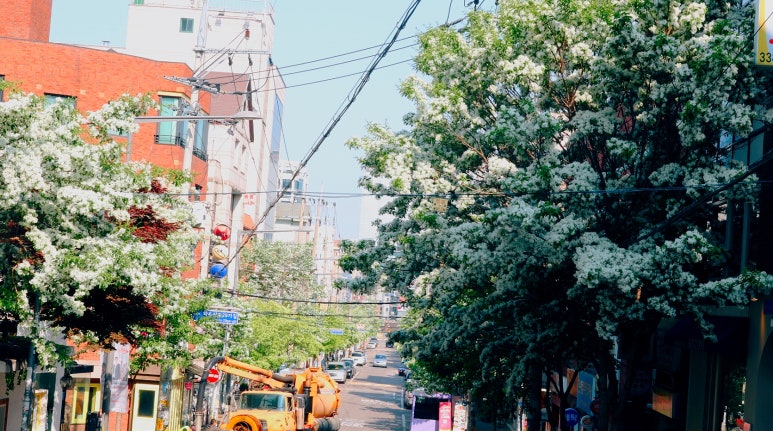 가비애 이미지