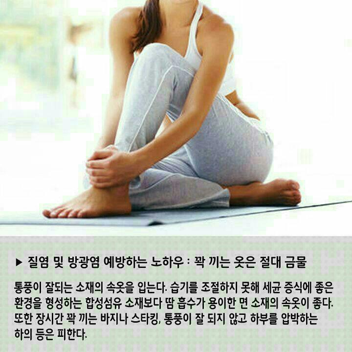 제나셀 이미지
