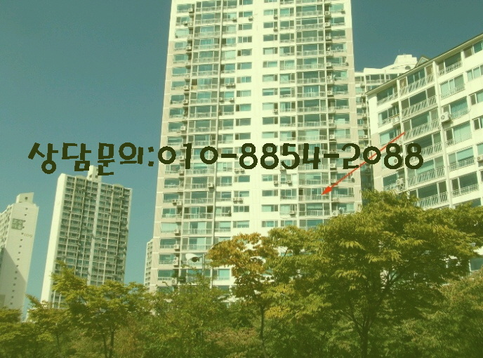싸움의고수충북 이미지