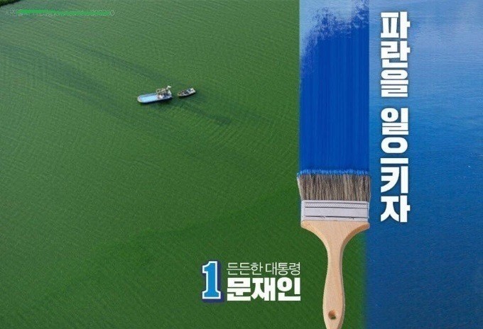 파란디자인 이미지