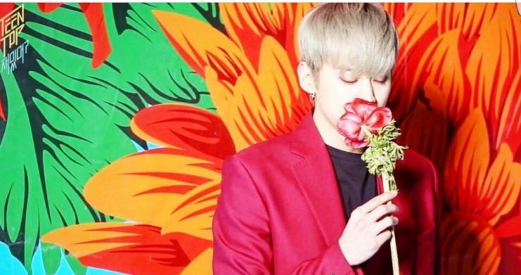 천지비디오 이미지