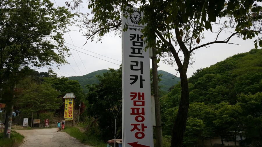 캠프리카 이미지