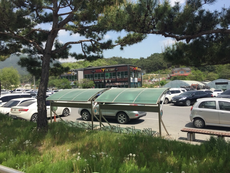진진오리 이미지