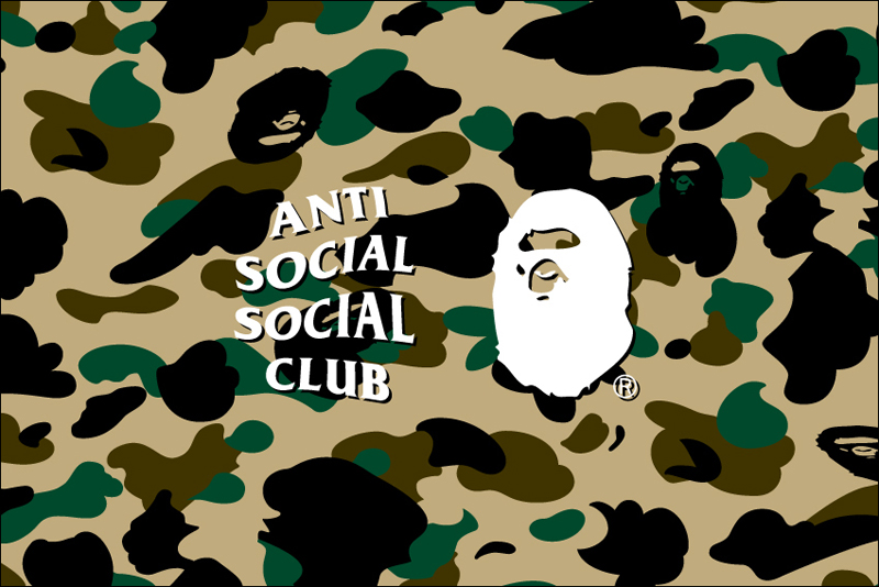 소셜티클럽 이미지