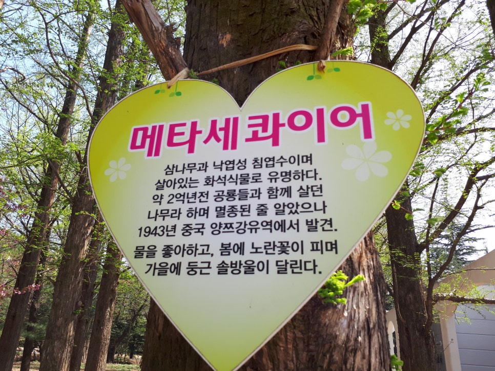산토리니커피 이미지