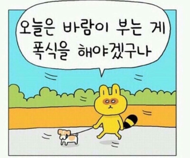속초중앙시장해물짬뽕 이미지