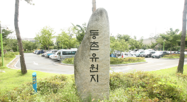 동촌유원지 유기장 이미지