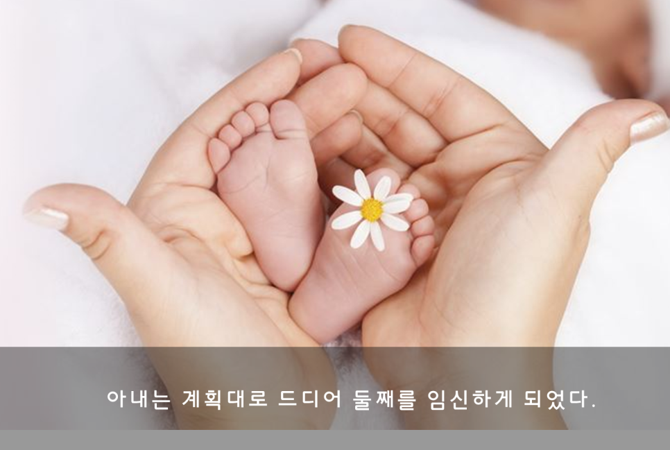 행복김밥 이미지