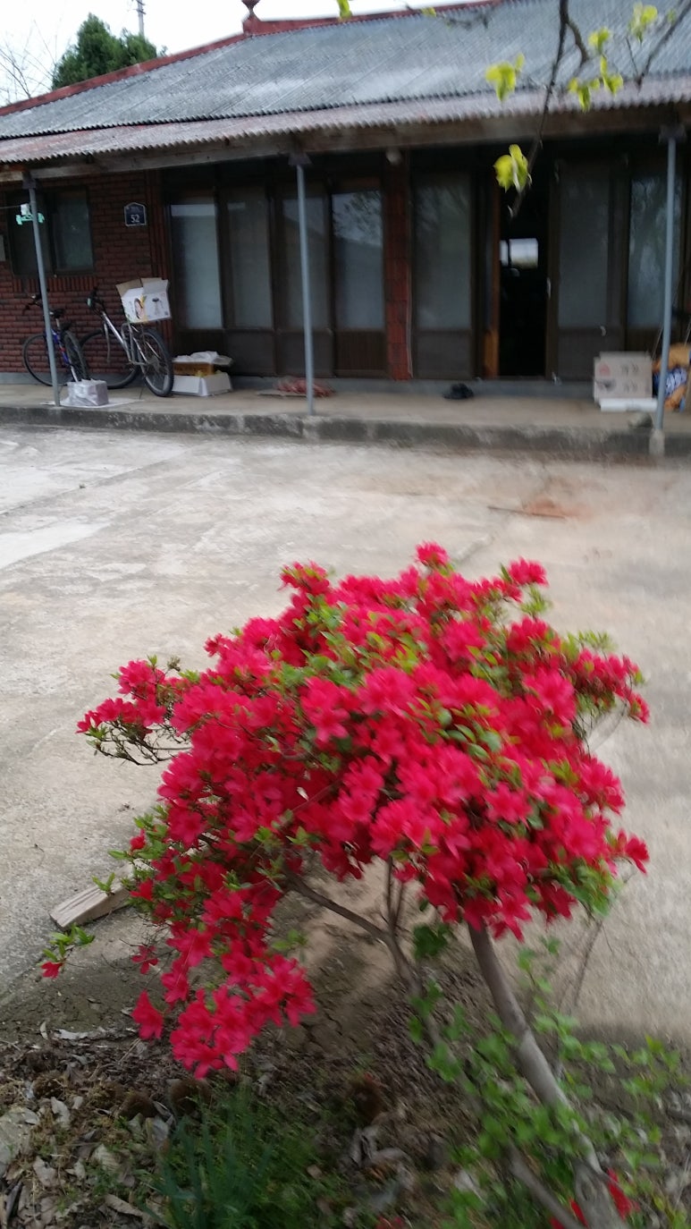 산나래농장 이미지