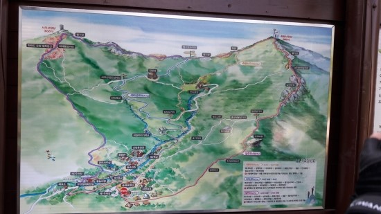 산철죽 군락지 이미지
