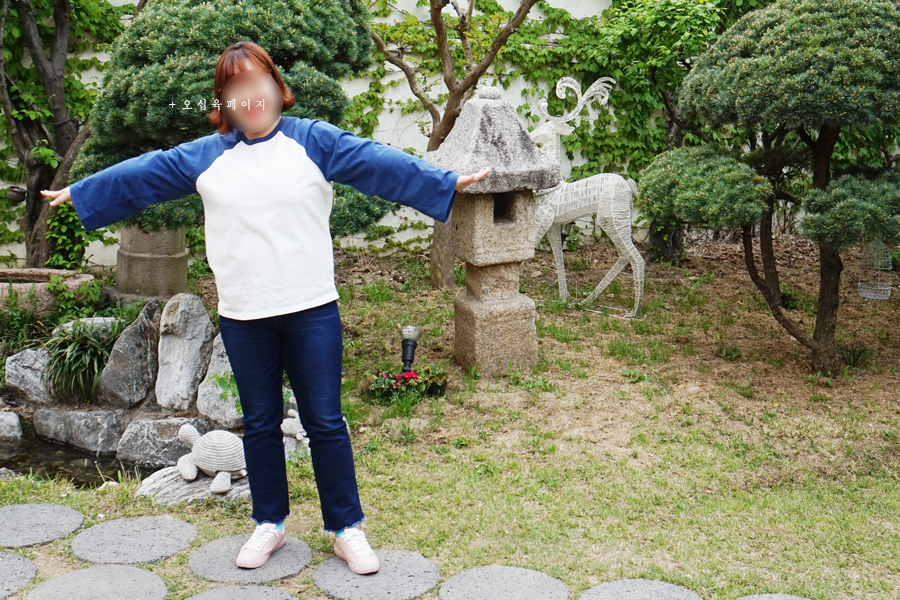 로코식스 이미지