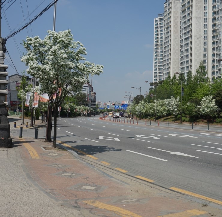 이팝인테리어 이미지