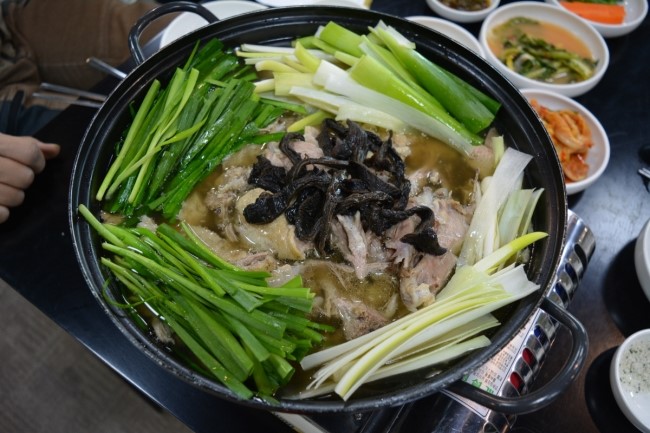 능이야오리야 이미지