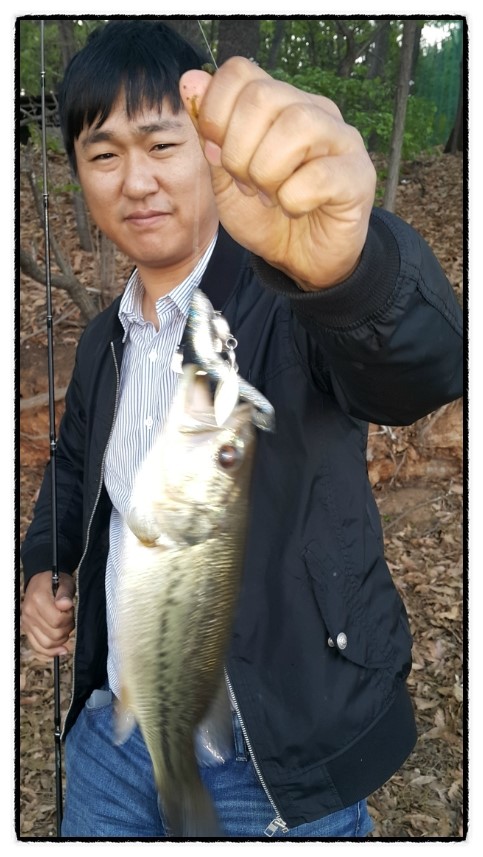 이지스핀 이미지
