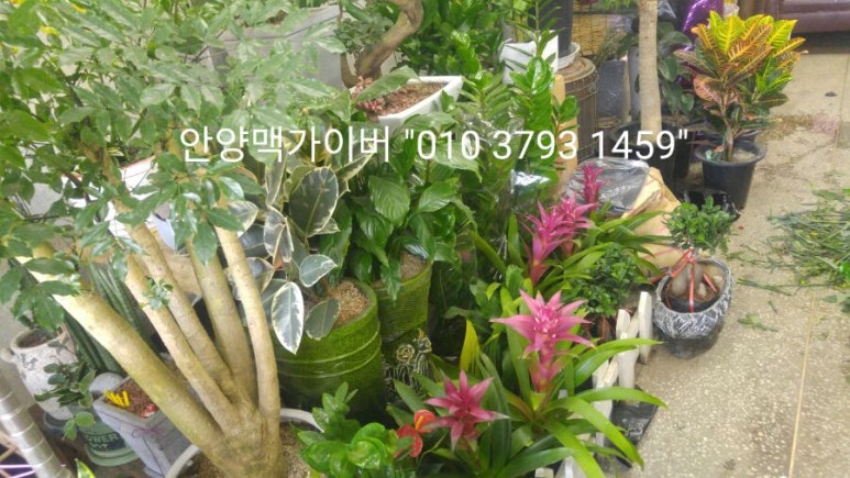예당화원 이미지