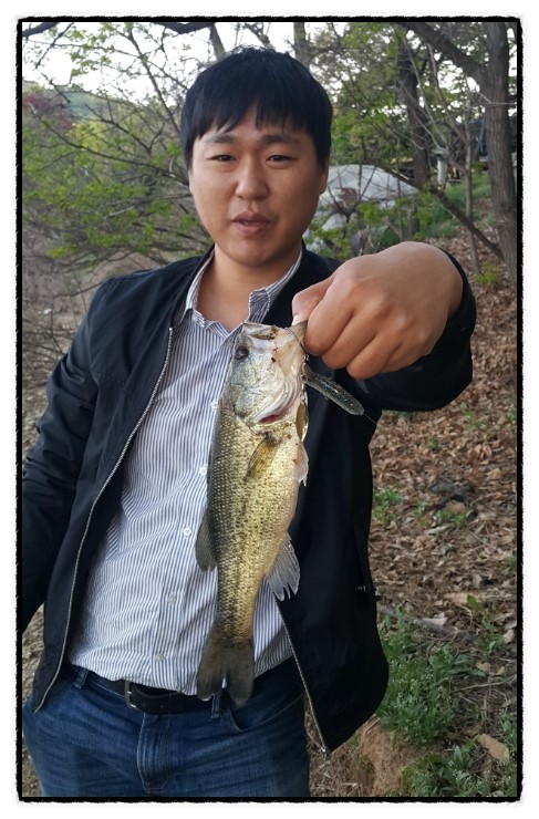 이지스핀 이미지
