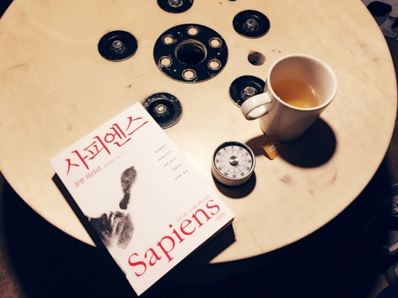사피엔스스쿨 이미지