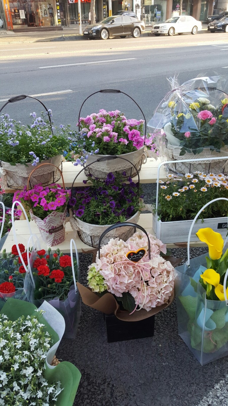 플로드림 이미지