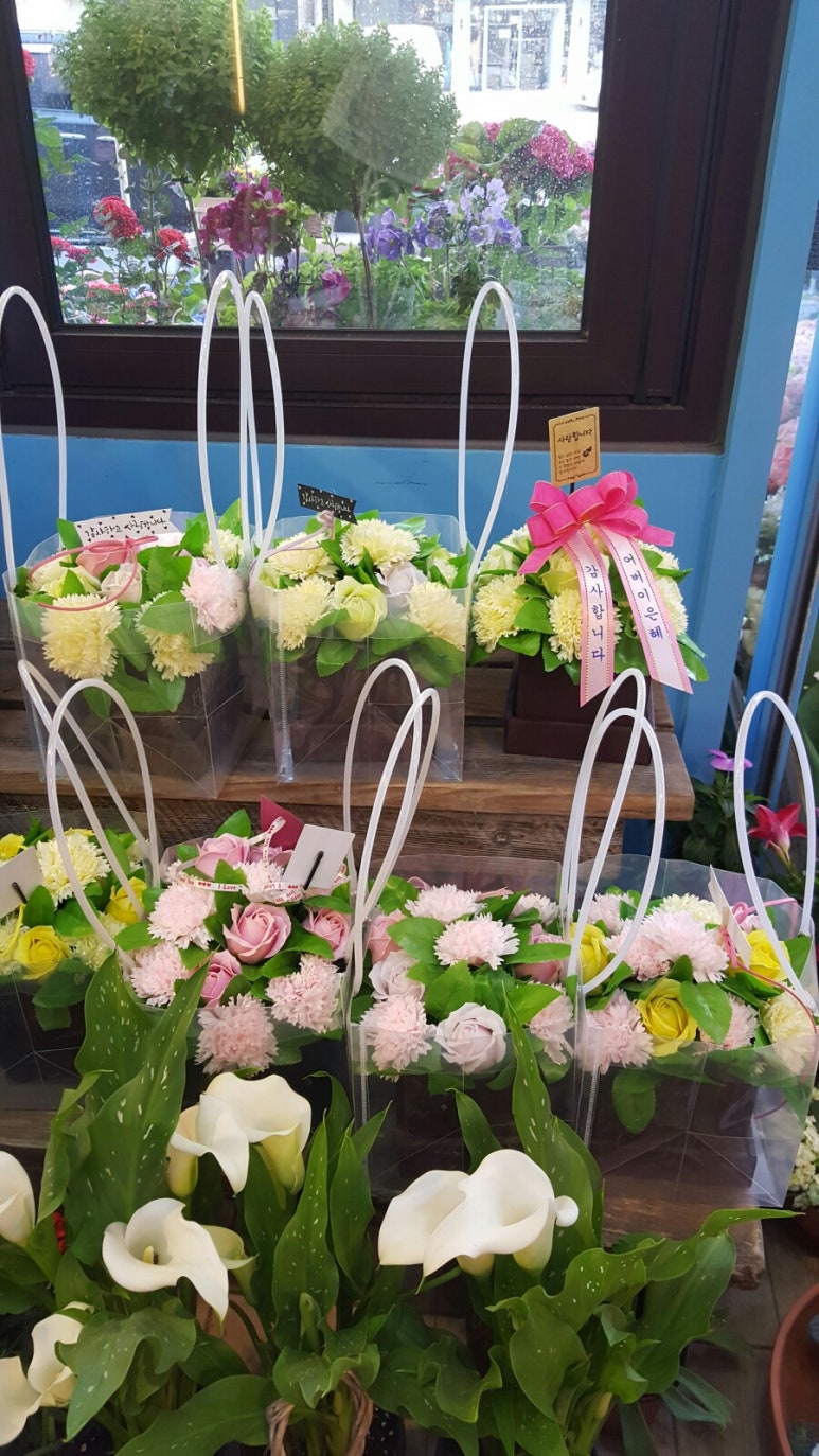 플로드림 이미지