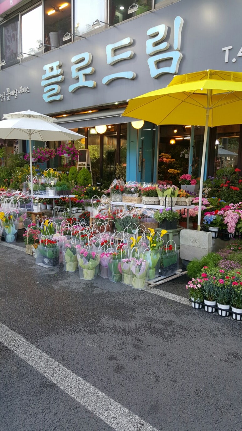 플로드림 이미지