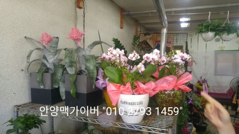 예당화원 이미지