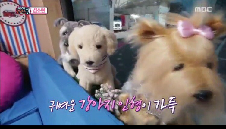 펍스타 이미지