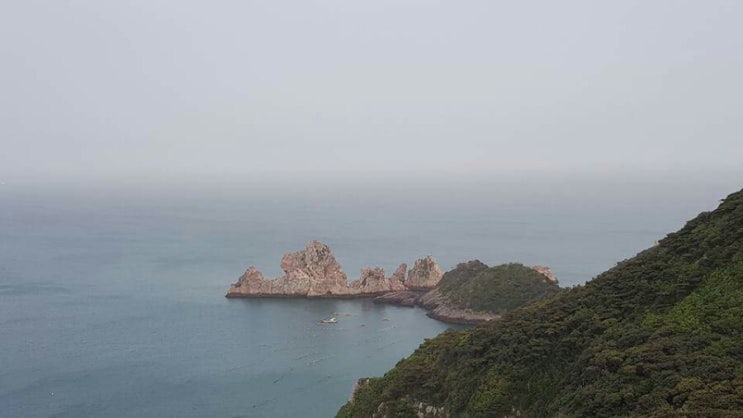 로얄관광여행사 이미지