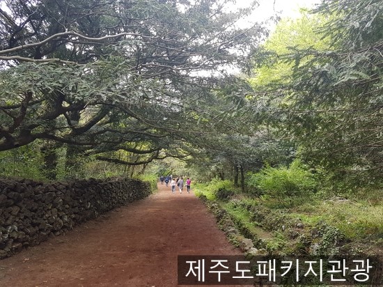 (주)무지개관광 이미지