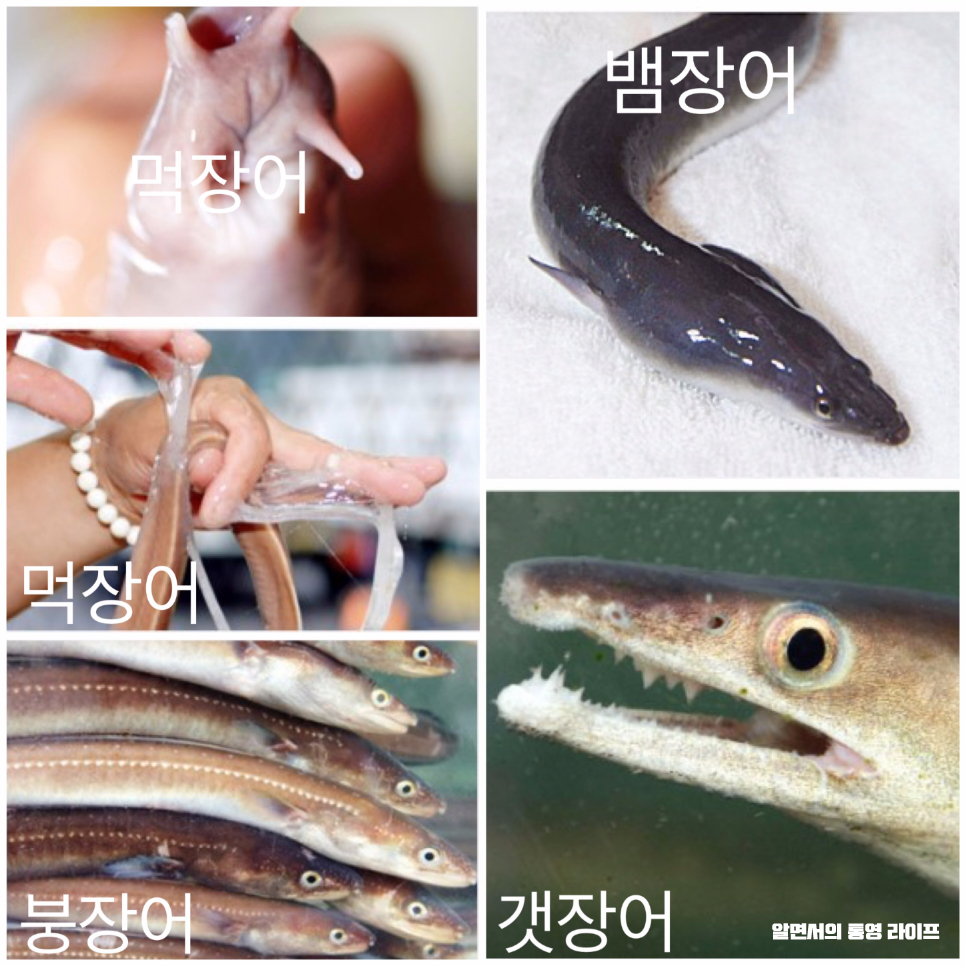 동우숯불장어구이 이미지