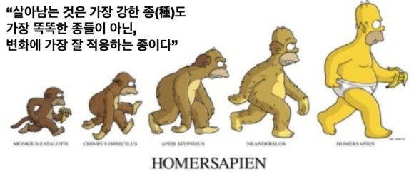 사피엔스스쿨 이미지