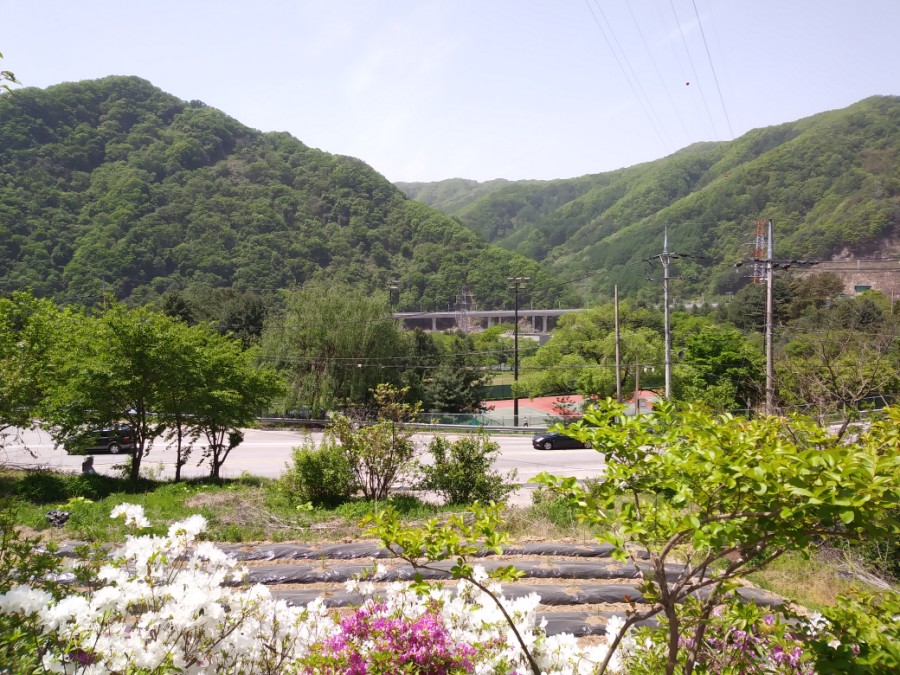 청향오리 이미지