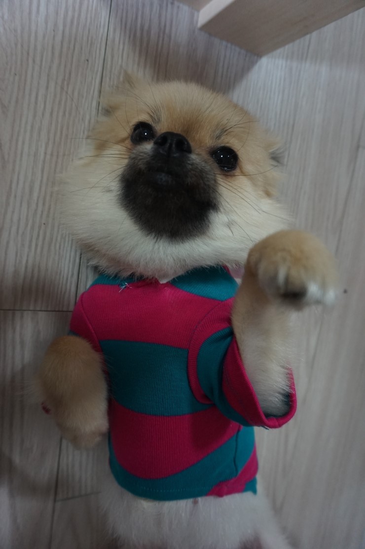 제이오와이 이미지