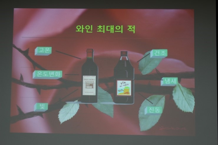 와인의향기 이미지