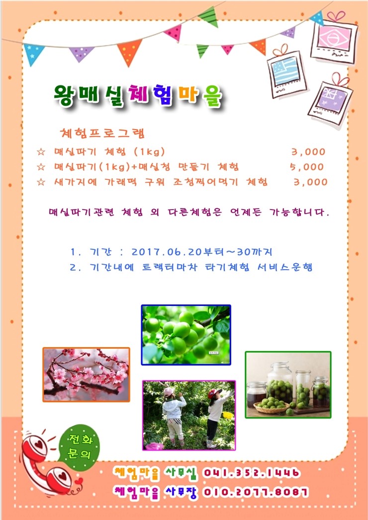 왕매실녹색농촌체험마을 이미지
