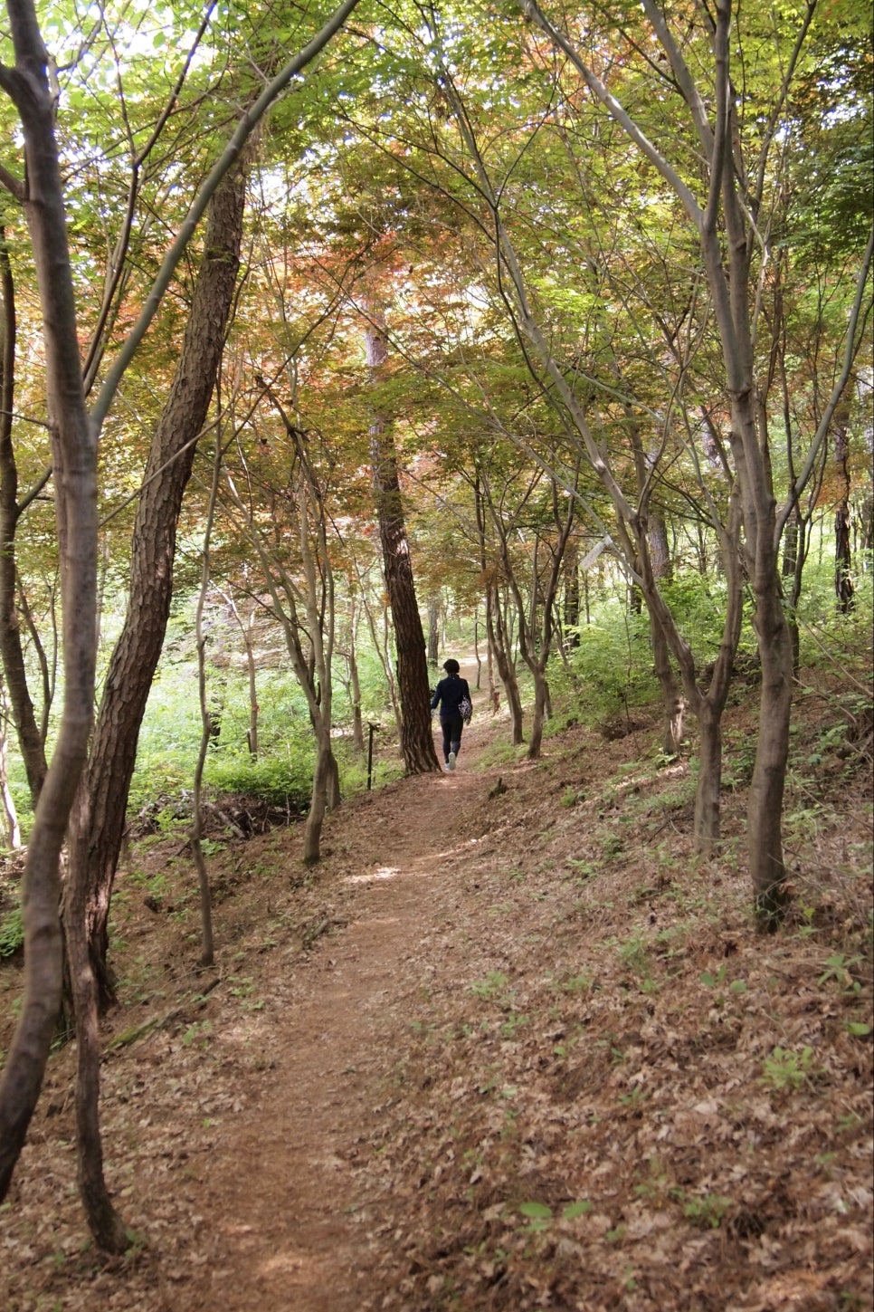구곡상회 이미지