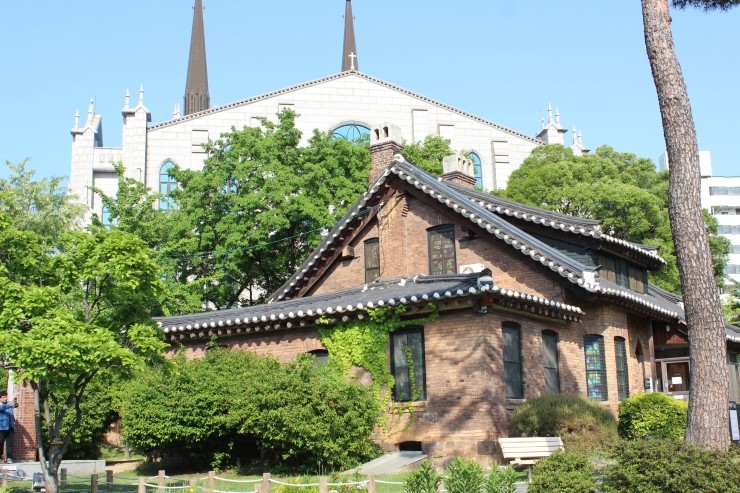 청라푸른담쟁이 이미지