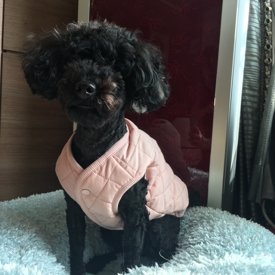 해두리치킨카페 이미지